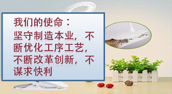 我們的使命：堅(jiān)守制造本業(yè)，不斷優(yōu)化工序工藝，不斷改革創(chuàng)新，不謀求快利